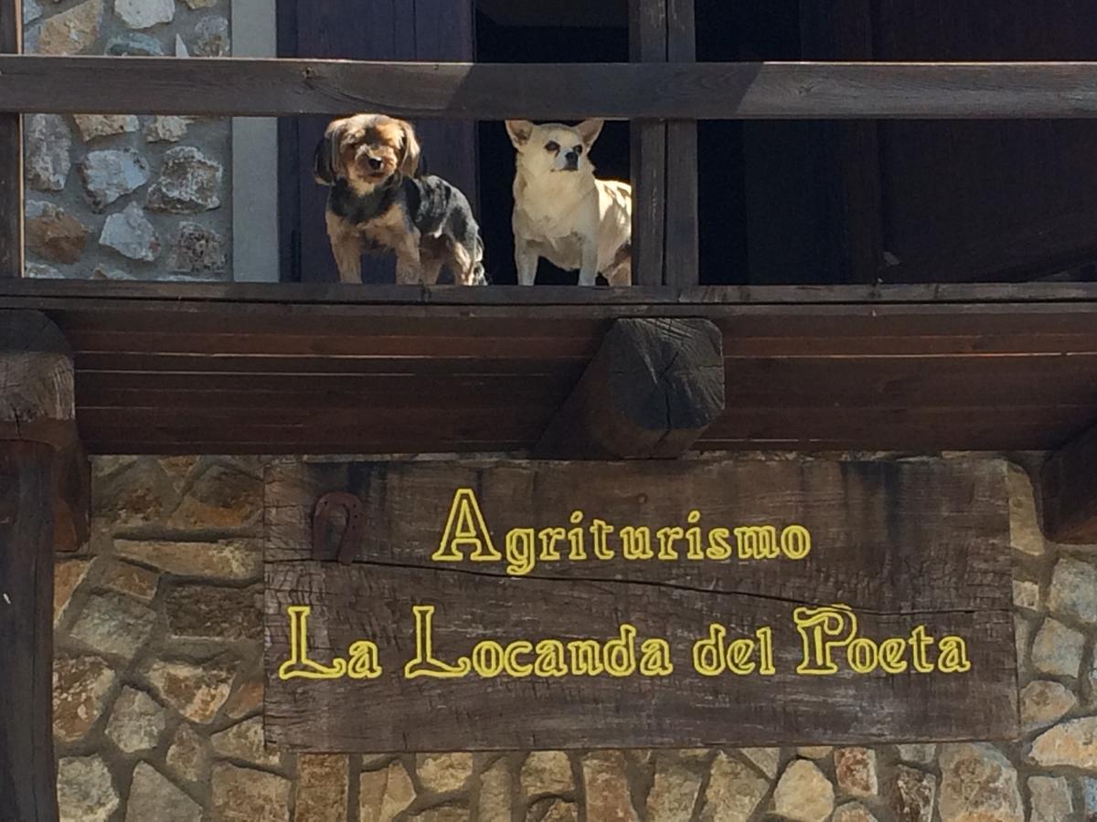 La Locanda Del Poeta Acri ภายนอก รูปภาพ